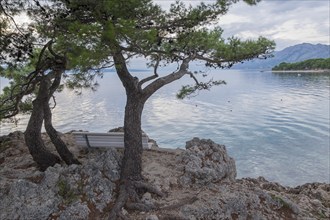 Coast near Brela, Makarska Riviera, Brela, Croatia, Europe