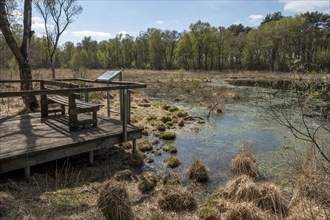 Nature conservation and FFH area, viewing pulpit, Heubachniederung, Gescher, Münsterland, North