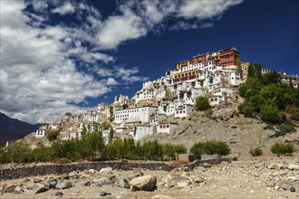 Thiksey gompa (Tibetan Buddhist monastery) in Himalayas. Ladakh, India, Asia