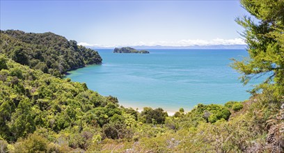 Abel Tasman Coast Track, Gilbert-Point, Kaiteriteri, New Zealand, Oceania