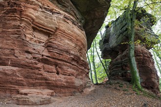 Old castle rock, red sandstone rock formation, natural and cultural monument, Brechenberg near