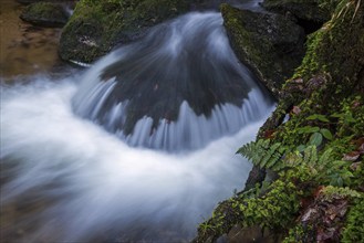 Gertelbach, Gertelbach Waterfalls, Gertelbach Falls, close-up, Gertelbach Gorge, Bühl, Bühlertal,