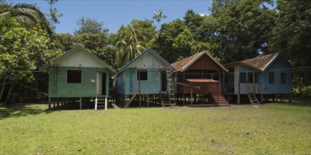 Traditional houses of a caboclos tribe along the (Amazona) river, Amazon state, Brazil, South