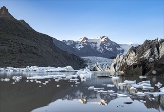 Reflection in the Svínafellslon glacier lagoon with ice floes, Svínasfellsjökull glacier tongue,