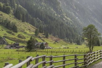 Hiking trail in Stilluptal, Gasthof Stilluper Haus, Stillupgrund, Mayrhofen, Zillertal Alps High