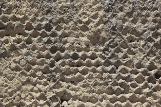 Close-up of a honeycomb-like, porous stone structure in natural earth tones