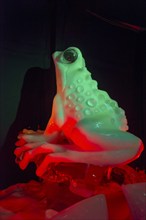 Frog, Ice Sculpture Festival, Zwolle, Province of Overijssel, Netherlands