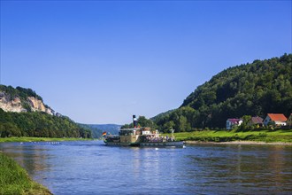 Elbe steamer Pirna in Wehlen