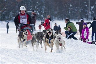 Sled dog race in Nassau Erzgeb