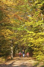 Hikers in the Schrammstein area in the back of Saxon Switzerland