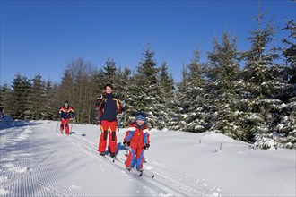 Carlsfeld ridge trail