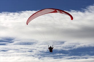 Paragliders on the Nebelhorn, Oberstdorf, Oberallgäu, Bavaria, Germany, Europe