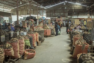 Market hall, potato variety, Mercado Mayorista, Huancayo, Peru, South America