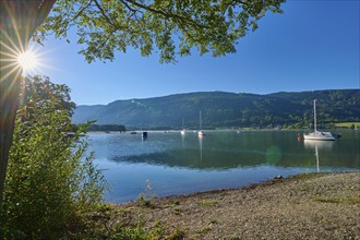 Lake shore, sailboats, tree, sun, morning, summer, Steindorf am Lake Ossiach, Lake Ossiach,