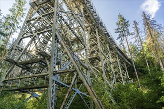 Railway bridge Ziemstal near Wysburg in the Thuringian Slate Mountains, Thuringia, Germany, Europe