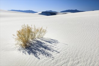 Gypsum Sand Dunes, White Sands National Monument, New Mexico, USA, North America