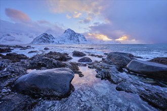 Beach of Norwegian sea on rocky coast in fjord on sunset in winter. Vareid beach, Lofoten islands,