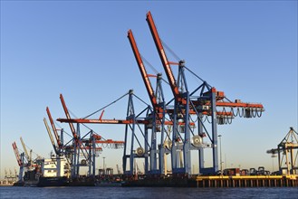 Cranes in the container port of Hamburg, Germany, Europe