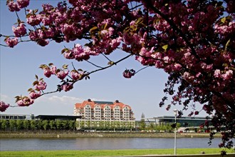 Erlweinspeicher, Maritim Hotel