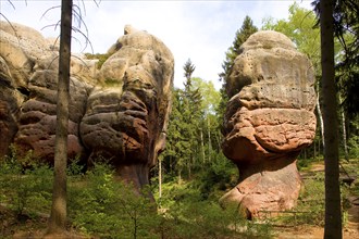 Chalice stones near Oybin