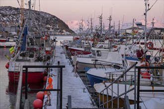 Harbour, winter, light atmosphere, snow, ships, fishing boats, Skoervoy, Norway, Europe