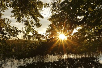 Sunset with rays of light over a lake in Mecklenburg, Müritz National Park, Mecklenburg-Vorpommern,