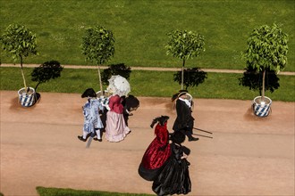 Return of the oranges from their winter quarters to the Dresden Zwinger