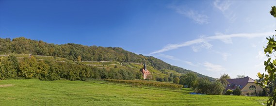 Vineyards and vineyard church in Pillnitz