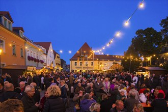 Autumn and wine festival in Altkötzschenbroda