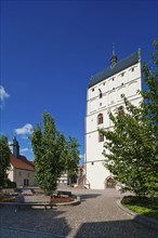 Borna town church of St Mary with the late Gothic winged altar by Hans Witten