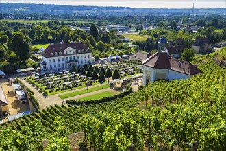 Wackerbarth Castle or Wackerbarths Ruh is a Baroque castle surrounded by vineyards in the