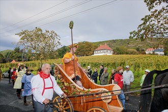 The Saxon Winegrowers' Procession 2011