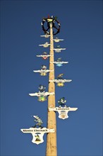 Maypole from the Heimat und Verschönerungsverein Cochem, Rhineland-Palatinate, Germany, Europe