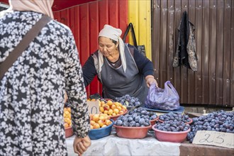 Fruit stall, woman selling fruit at the Osh bazaar, Bishkek, Kyrgyzstan, Asia