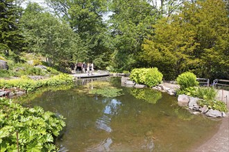 Botanical Garden, Gothenburg, Västra Götalands län, Sweden, Europe