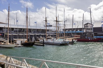 Historic harbour, Auckland, New Zealand, Oceania