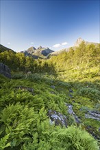 View of Østerdalen valley, Straumdalstinden mountain, Helgeland coast near Jekt, Rødøy, Nordland,