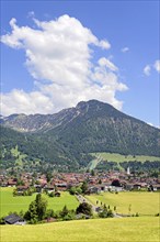 View from a vantage point over Oberstdorf and the Allgäu Alps, blue cloudy sky, Allgäu, Bavaria,