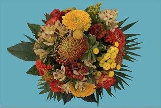 Colourful bouquet of flowers on a turquoise background, Germany, Europe