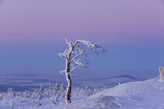 View from the snow-covered Fichtelberg to the Ore Mountains