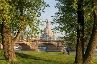 Dresden Elbe meadows in spring