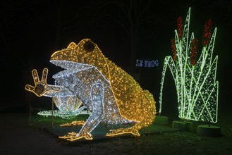 Le Frog, glowing frog, world of lights, municipal park, Magdeburg, most extensive Christmas and