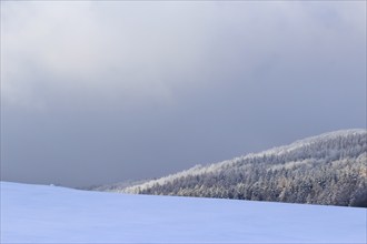 Winter landscape, Saxony, Upper Lusatia, Germany, Europe