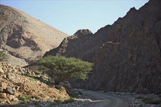 Wadi at Al-Jabal al Akhdar, Batinah Region, Oman, Asia