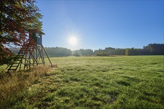 Hunting pulpit, meadow landscape, forest, sky, sunrise, autumn, beeches, Odenwald,