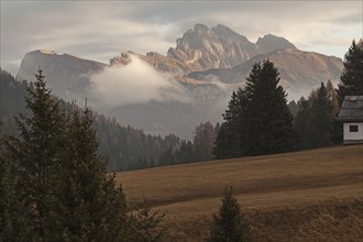 High alpine pasture, Alpe di Siusi. View of the Seceda, Dolomites