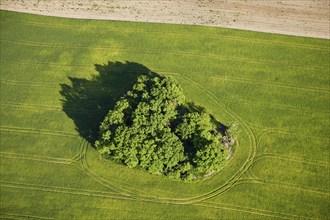 Aerial photo field