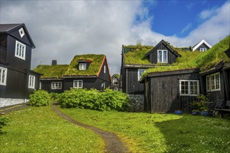 Grass roofed houses in Torshavn, capital of Faroe islands, Denmark, Europe