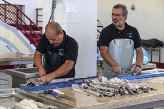 Black scabbardfish (Aphanopus carbo) being filleted, fish hall, fish market, market hall Mercado