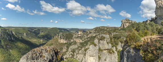 Landscape of a wild and preserved valley, canyon in the Cevennes national park. biosphere reserve